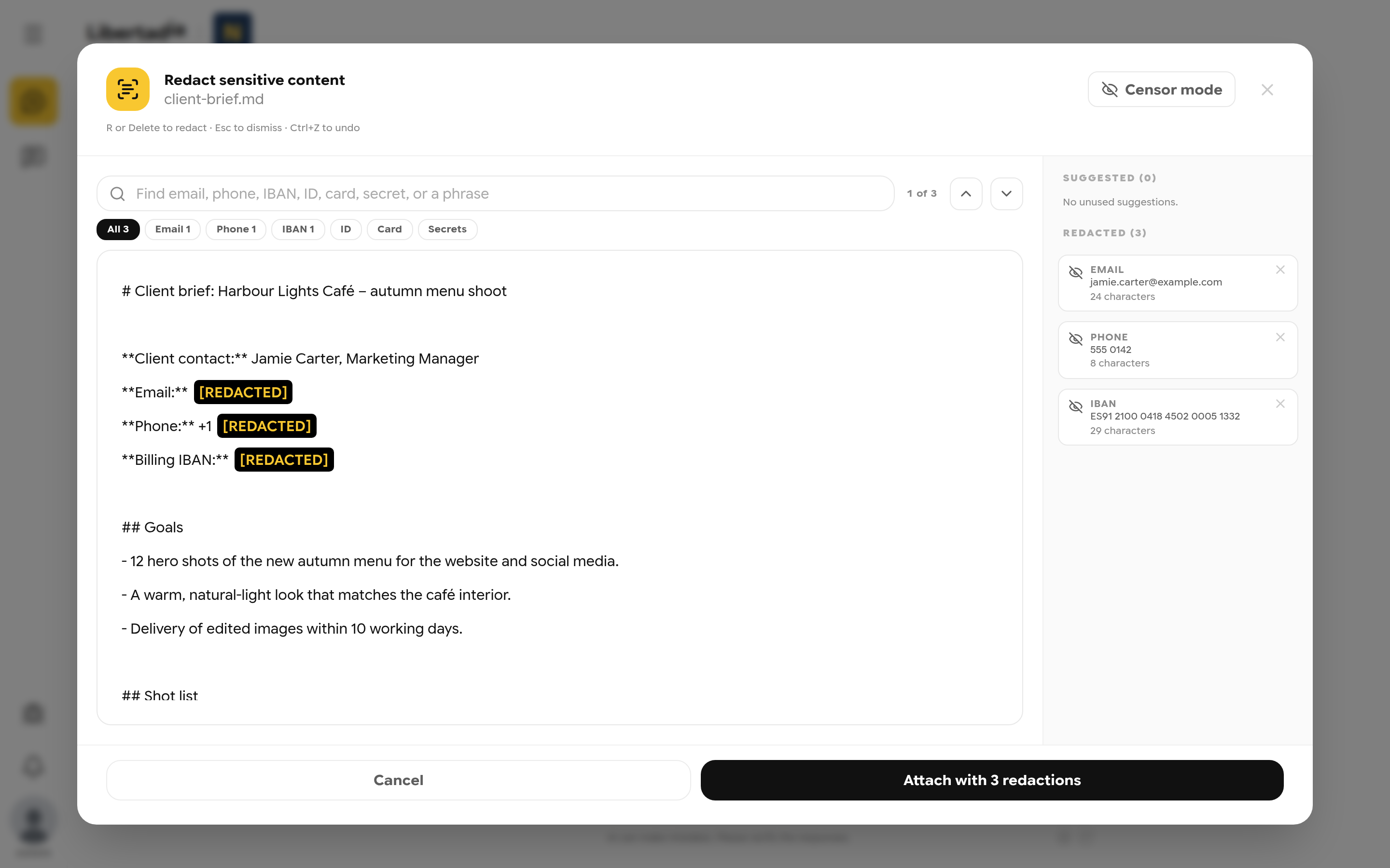 Redaction view with email, phone and IBAN replaced by REDACTED marks and listed on the right