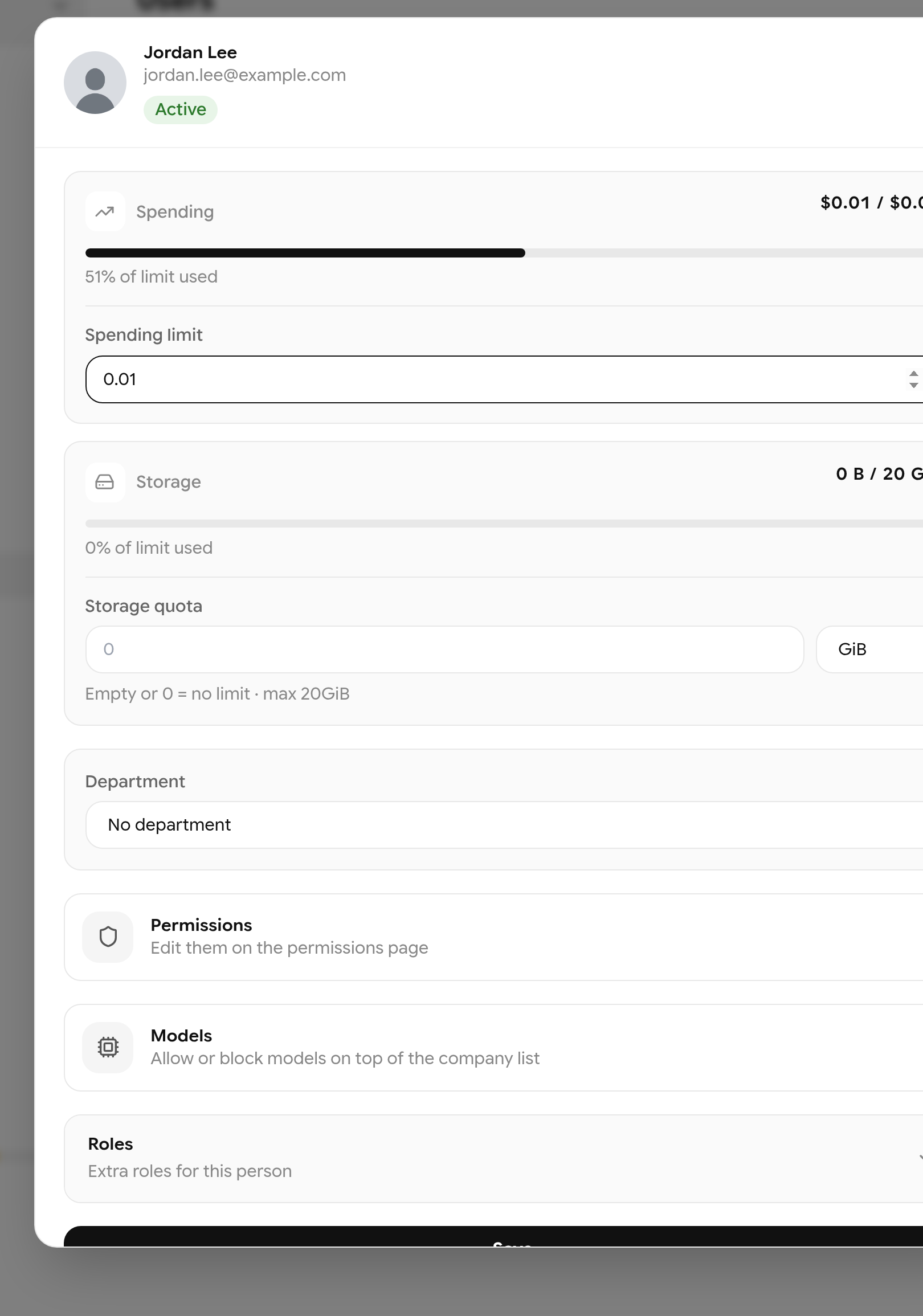 Member details with spending, spending limit, storage quota, department, permissions, models and roles