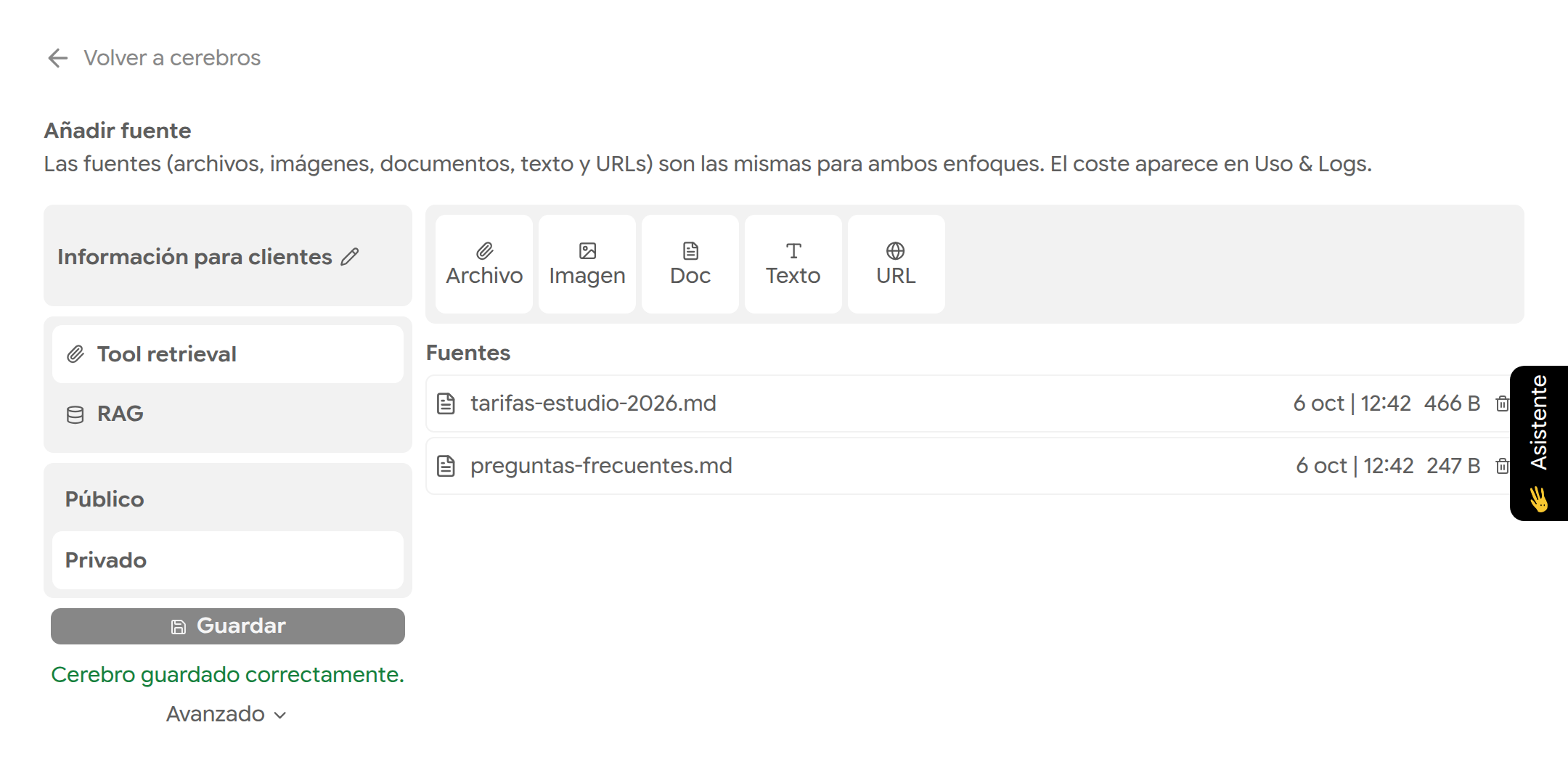 Página del cerebro con los botones Archivo, Imagen, Doc, Texto y URL, dos fuentes y el mensaje Cerebro guardado correctamente